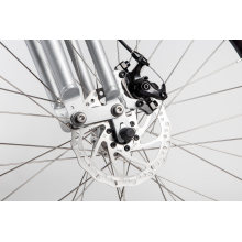 Bicicleta elétrica de estrada com bateria de lítio OEM / ODM com motor Bafang Hub 750W